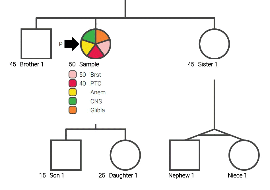 Drawing Genetic Family Trees